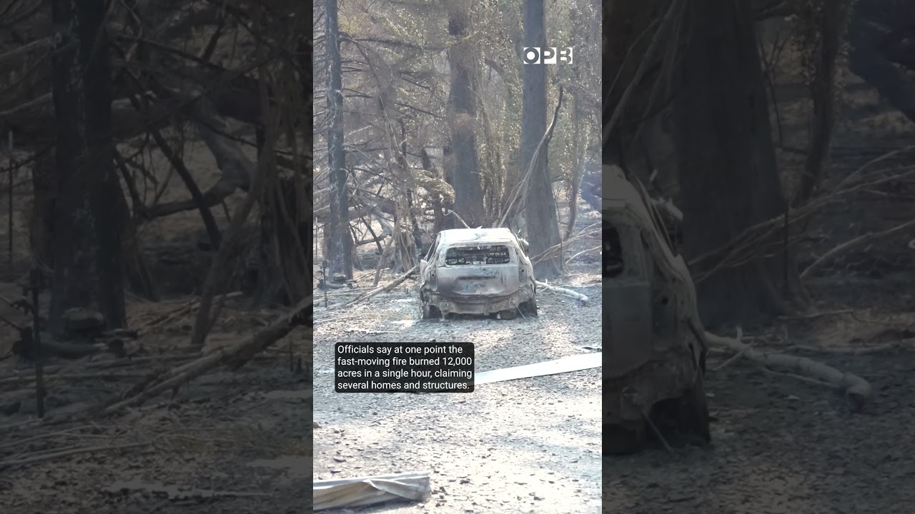 Firefighters battle the Grasshopper Fire near Mount Hood in Oregon