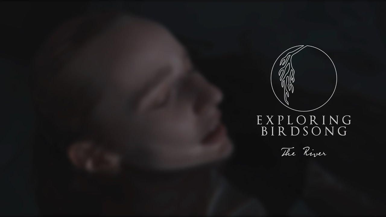 Exploring Birdsong - The River (Official Video)