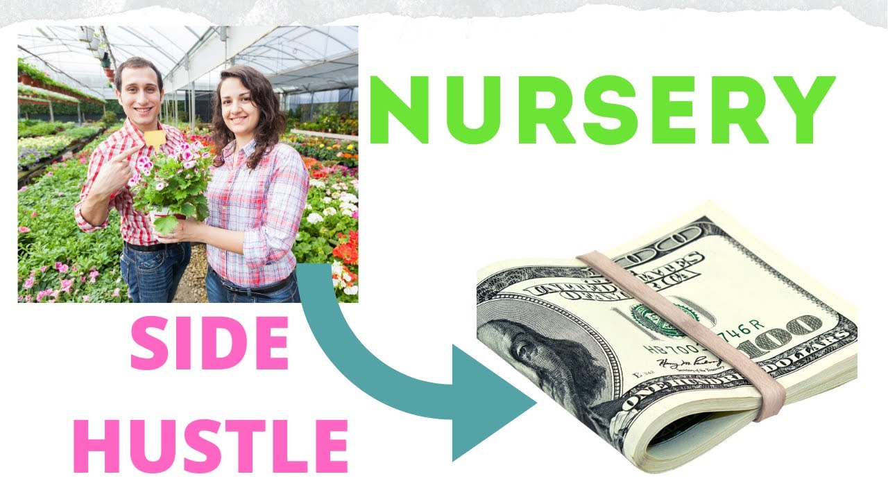 PLANT NURSERY TYPES YOU CAN START  AND MAKE MONEY EASILY