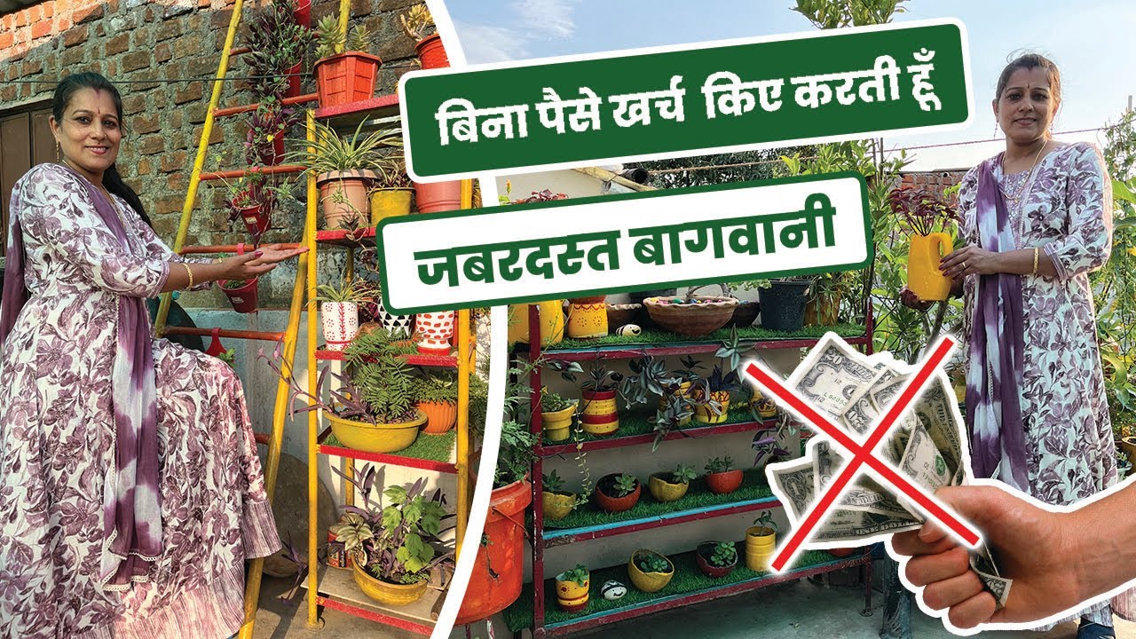 बिना पैसे खर्च किए करती हूँ , ज़बरदस्त बाग़वानी 💵 🚫 Low Budget Gardening 😮 Bhopal EP-12