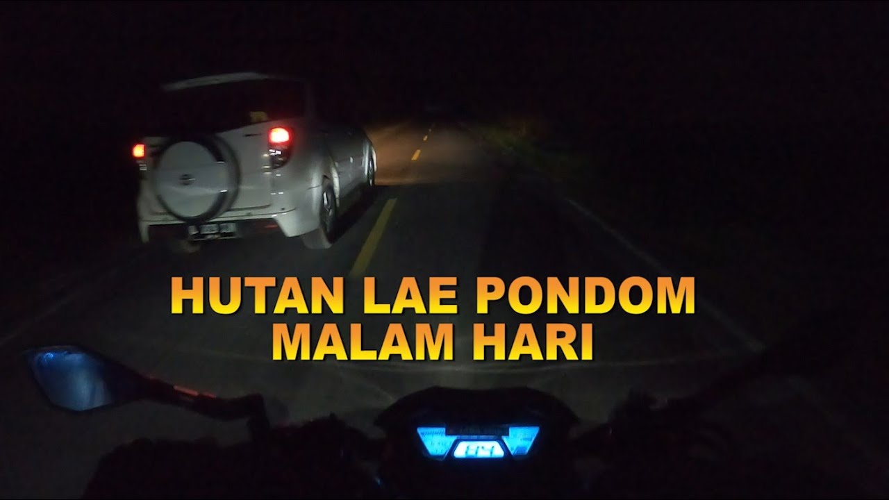 Jalan Hutan Lae Pondom Malam Hari