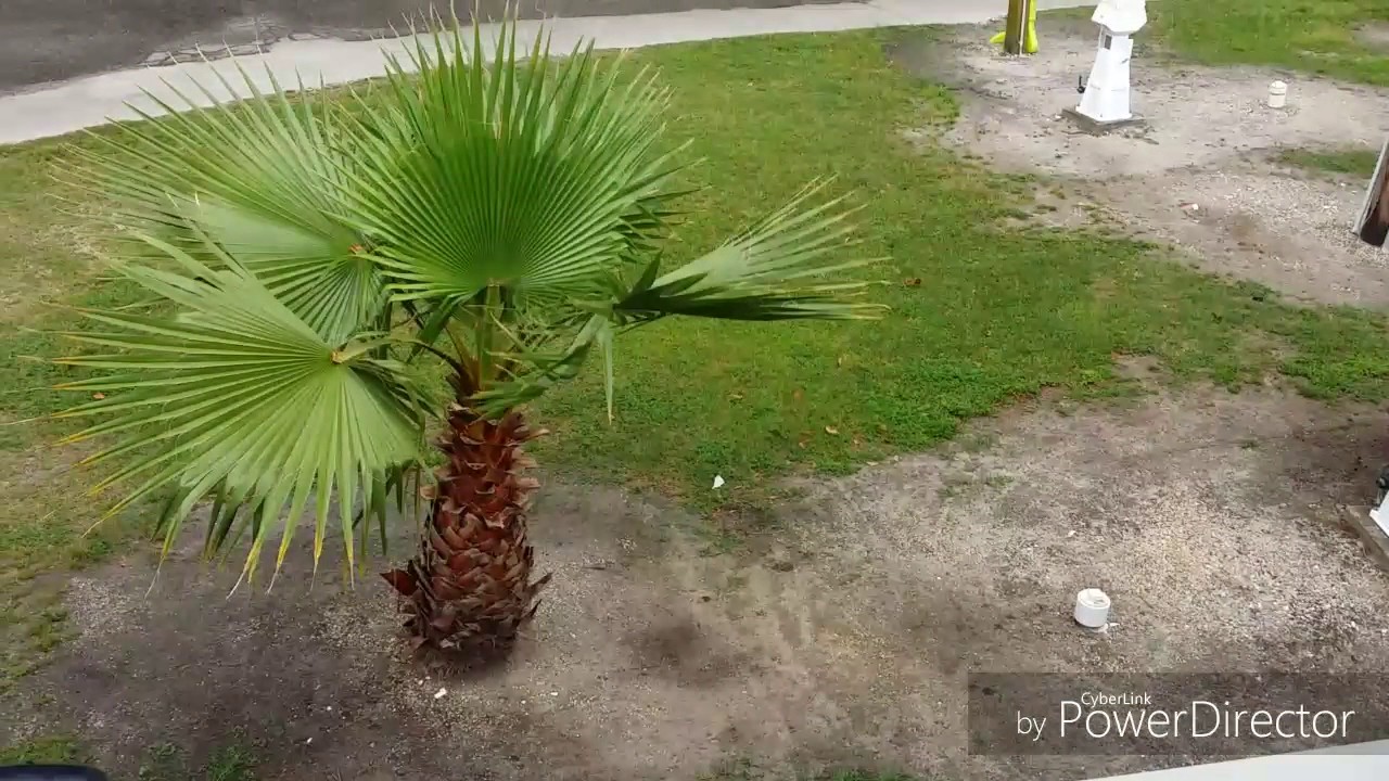 Best Portable Satellite Dish 