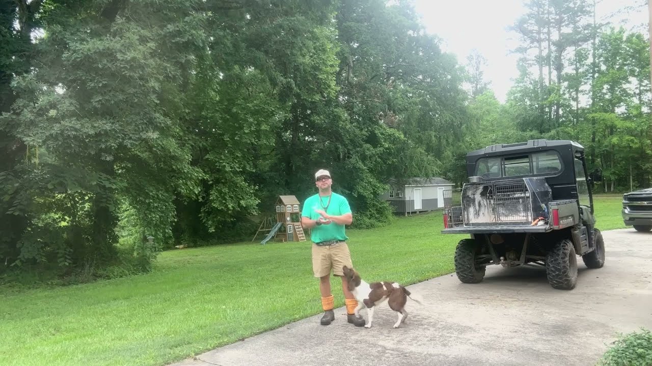 Classical Conditioning as it Relates to Dog Training
