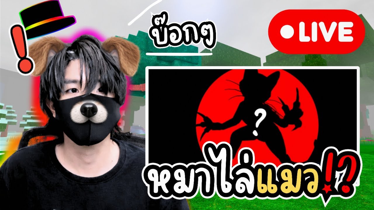 [Live] รองับเจ้าเหมียว!? l Roblox 99 Nights in the forests