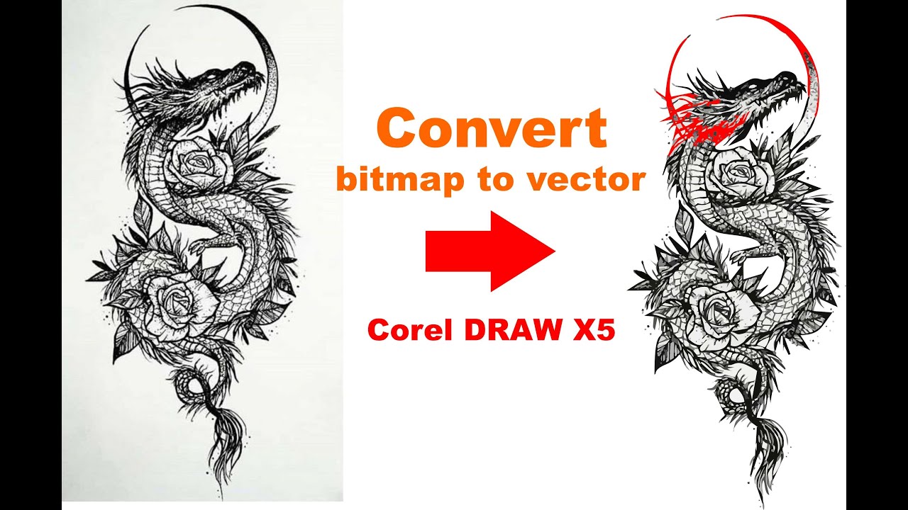 Chuyển ảnh th&agrave;nh vector corel - bitmap to Vector corel