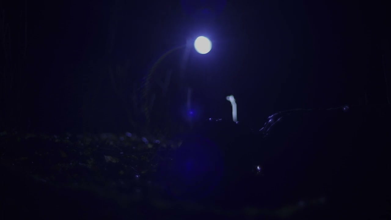 FRAGMENTS - TEASER