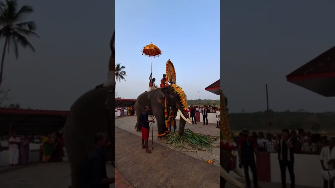 കണ്ണനും മഹാദേവനും  is live