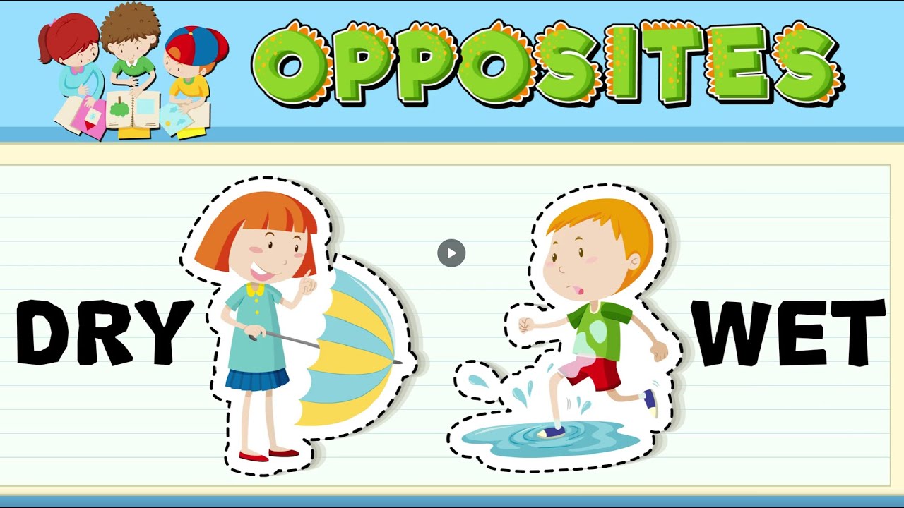 20 Opposites