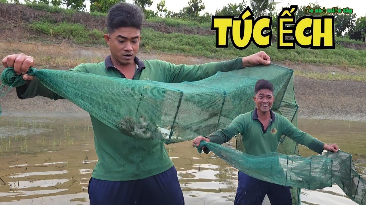 Túc Trúng Mánh Ngay Cục Ếch Đồng Trong Cơn Mưa To_Nấu Lẩu Ếch Măng Chua...| ONMT #Tập 213