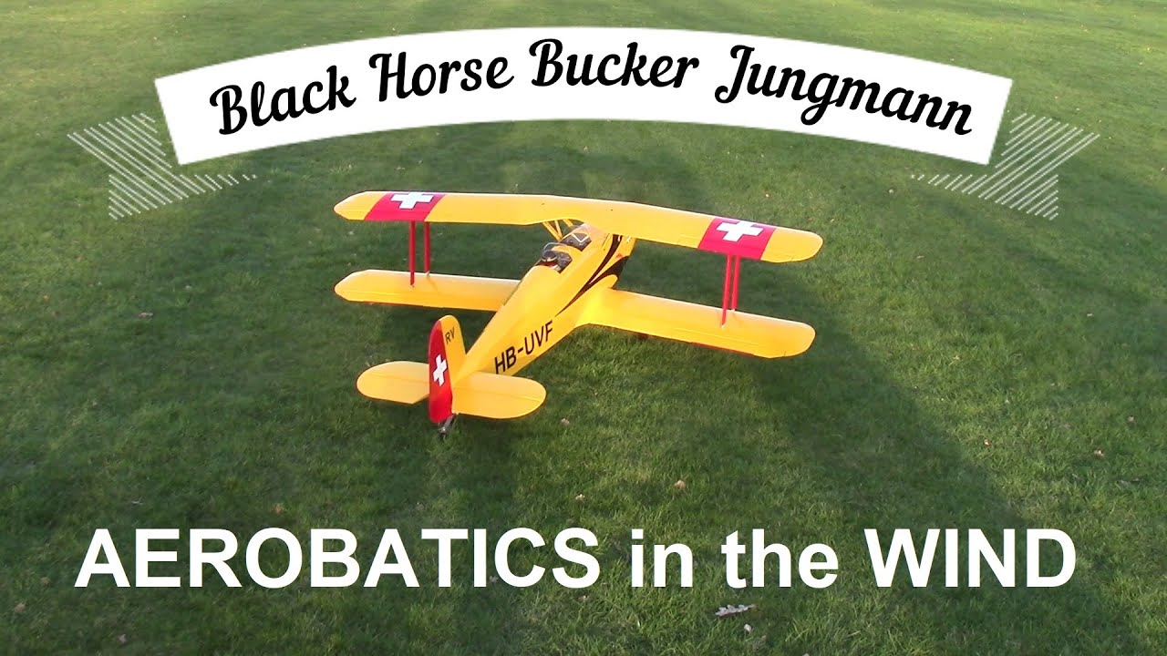 ✨ Big electric Black Horse Bucker Jungmann acrobatics ✨