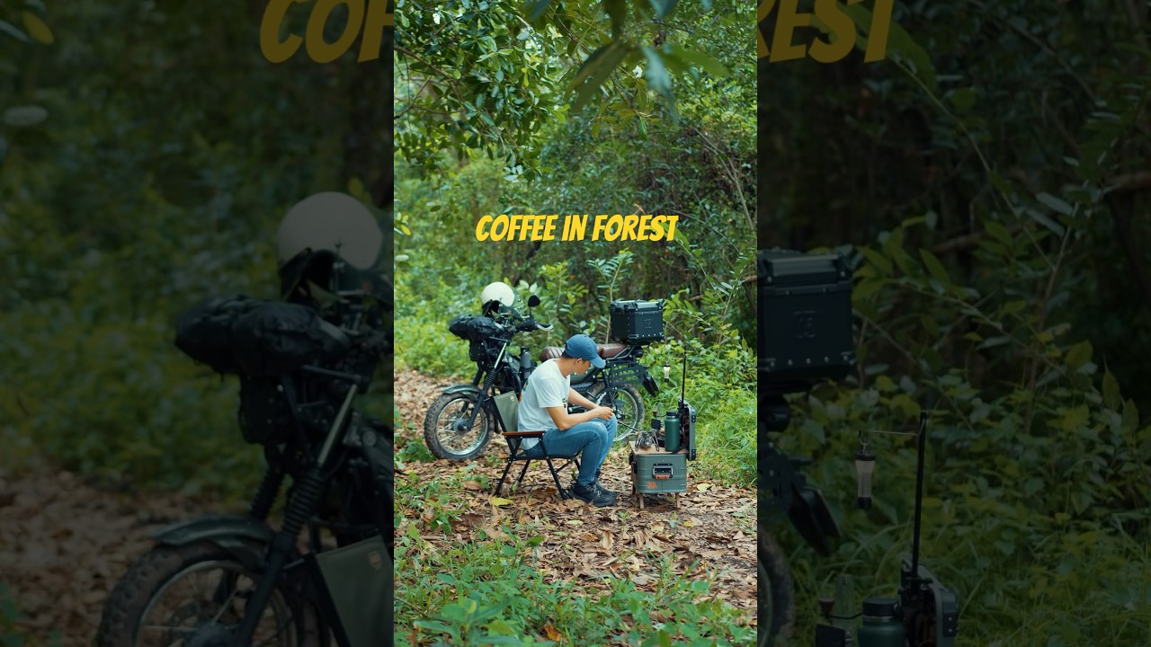 Coffee camping Relaxing #chill #coffee #forest #camping #cafevlog #campingcoffee