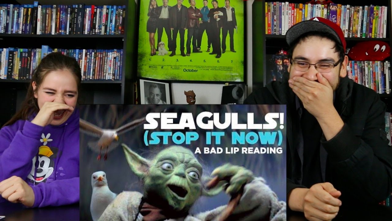 SEAGULLS! (Stop It Now) A Bad Lip Reading REACTION / REVIEW