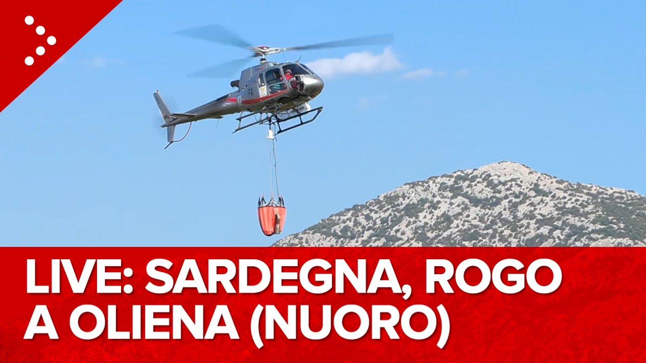 LIVE Incendi in Sardegna, emergenza nel nuorese. Rogo tra Oliena e Dorgali: diretta video