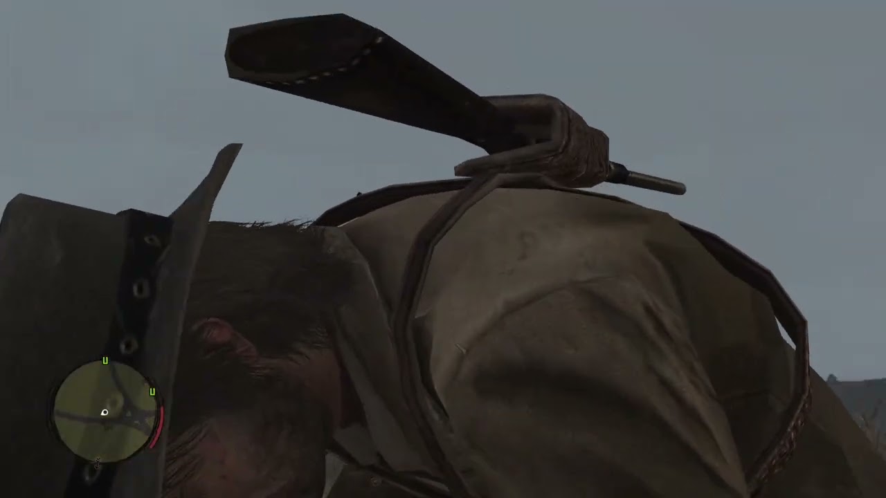 John Marston has a mental breakdown looting zombies