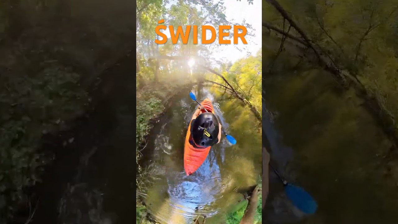 Kayaking on the Świder River in #poland #swider #kayaking #mazowsze