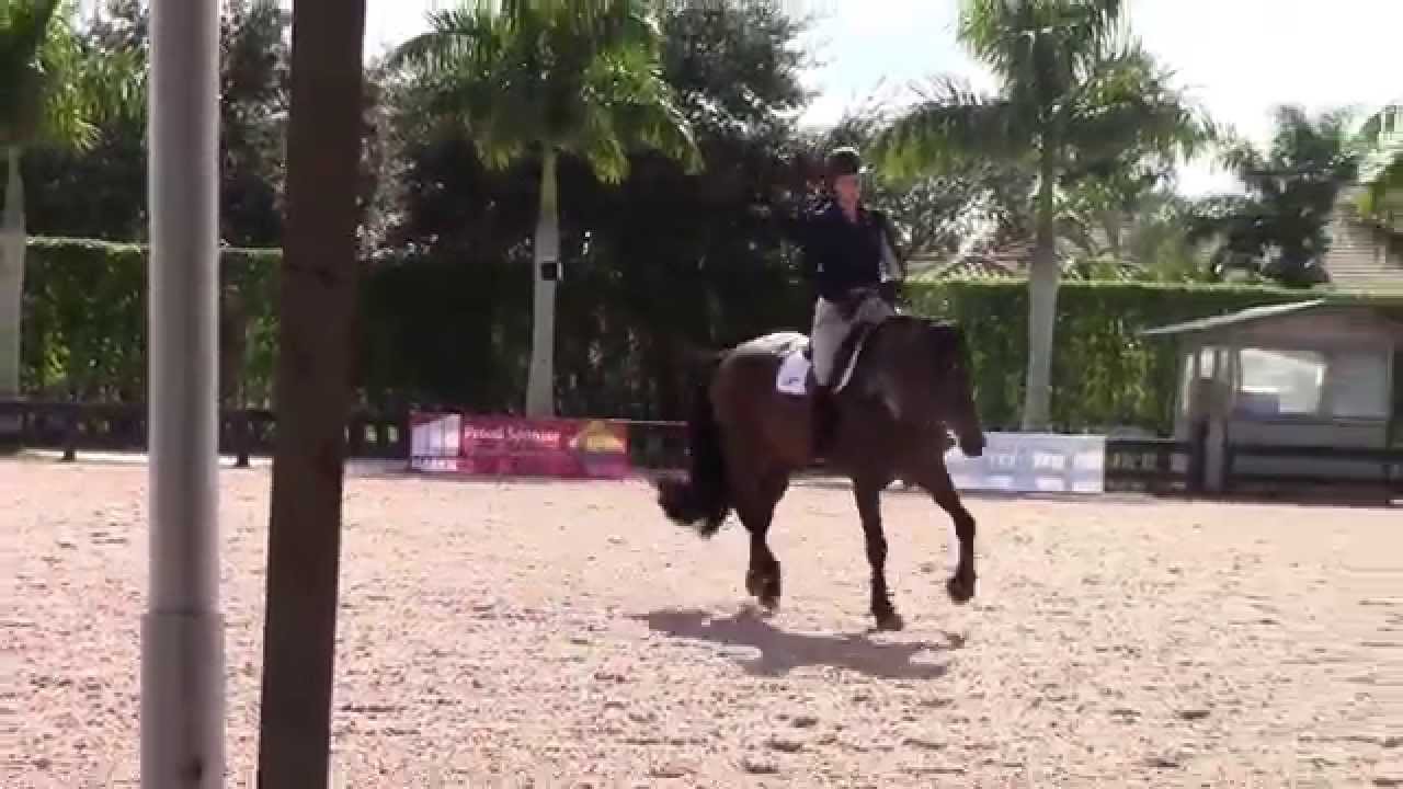 Beezie Madden Schooling Changes and Nailing the Tempi's!