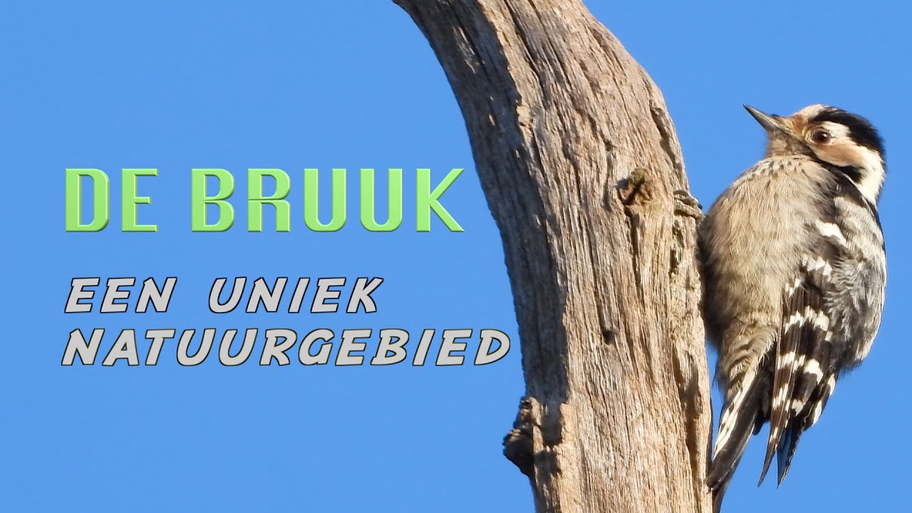 DE BRUUK. Een uniek natuurgebied