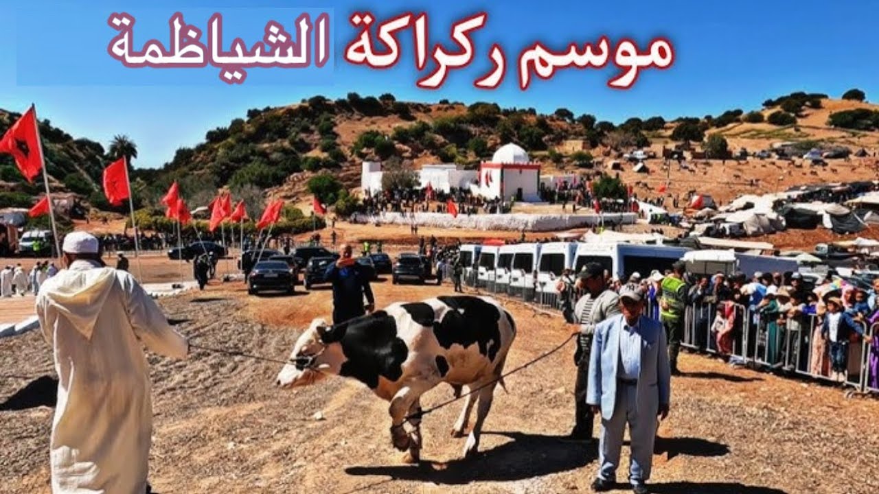 أجواء اليوم الأول من موسم ركراكة بحضور عامل الإقليم و د*بح العجل