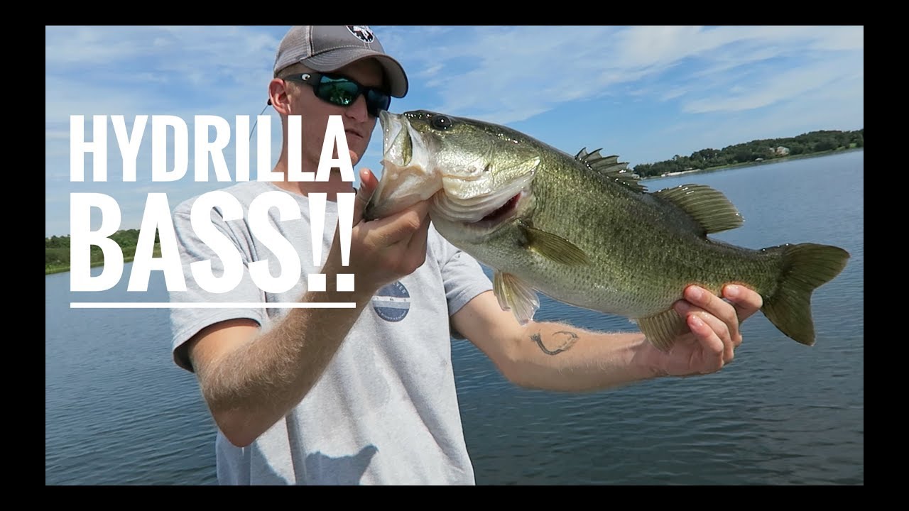 Fishing in GRASS To Catch MORE BASS!!