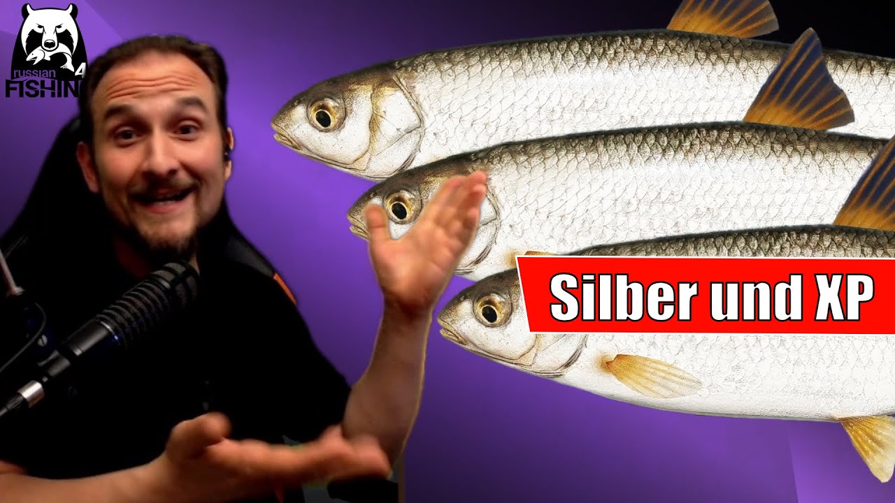 Russian Fishing 4 - Windenbach - Silber und XP! Hasel und Laube, Stippe mit einfachen K&ouml;dern