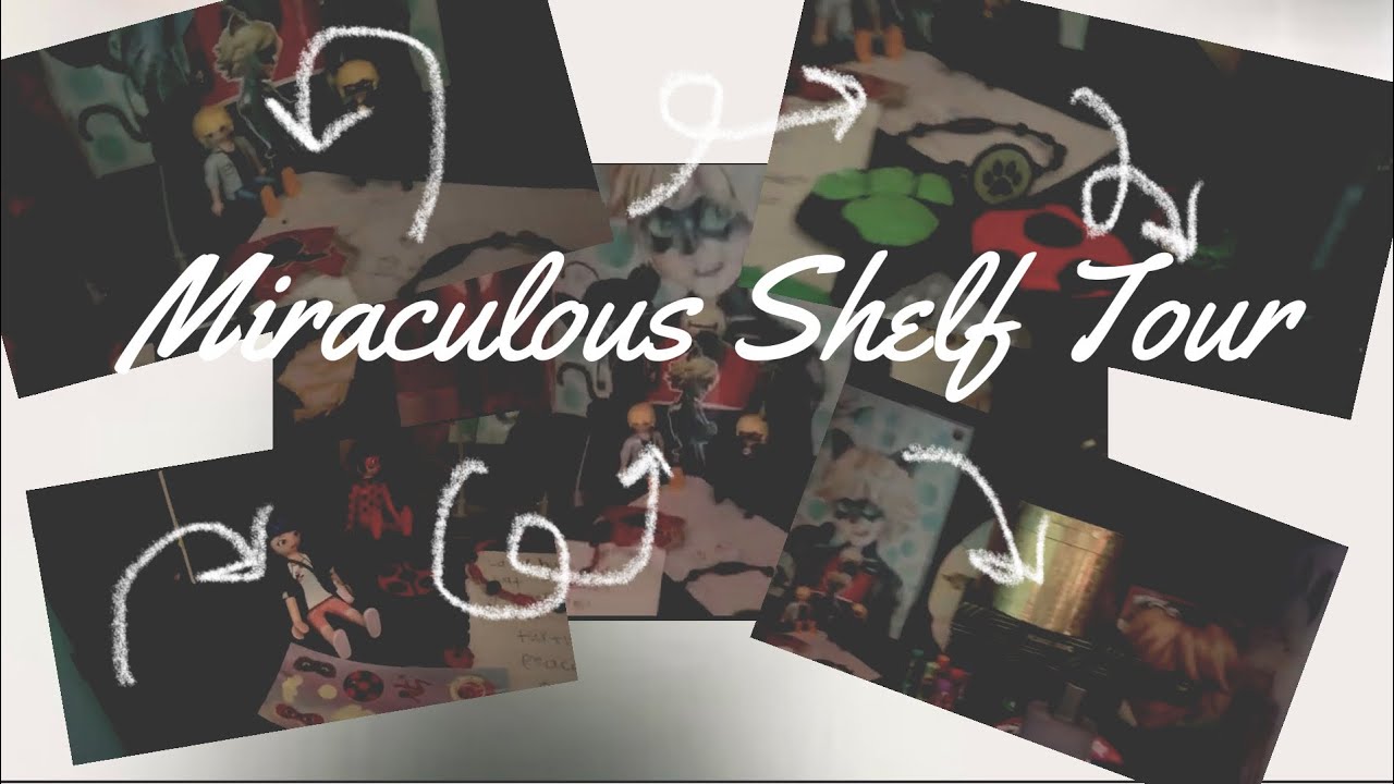 MIRACULOUS SHELF TOUR!! *Now Bugette 