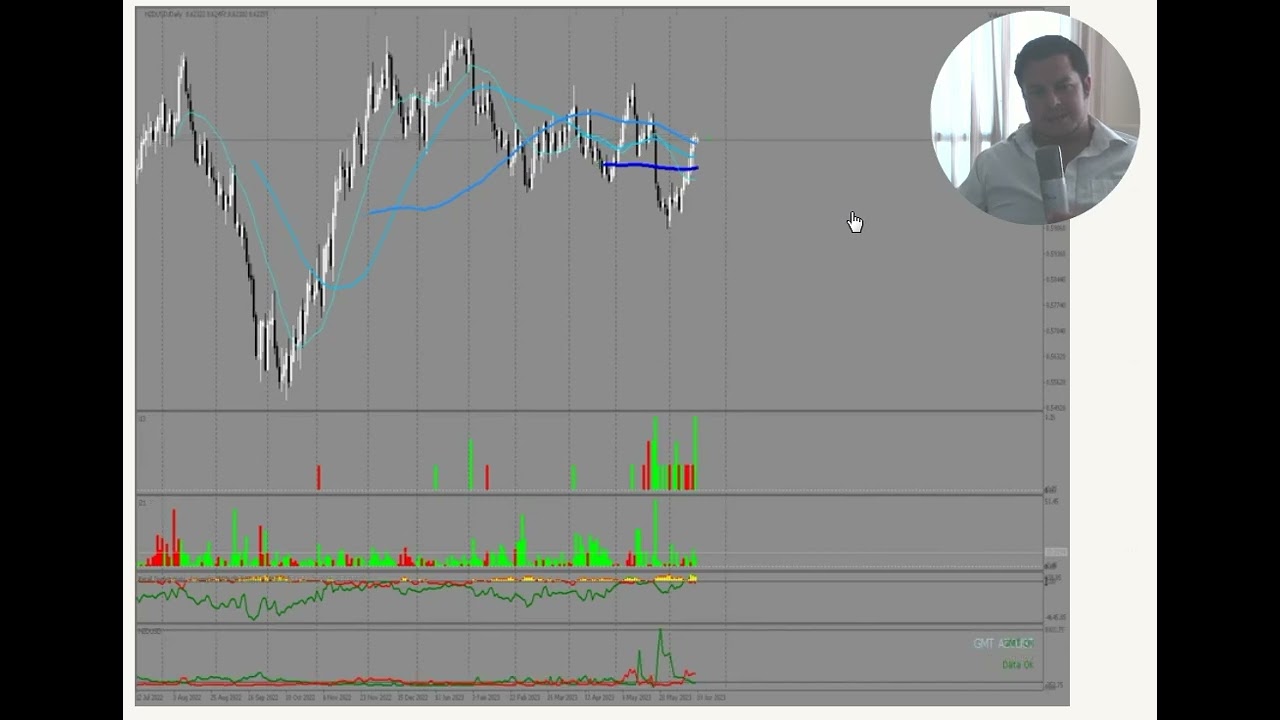 Time-Lapse Video: NZDUSD (Tageschart)