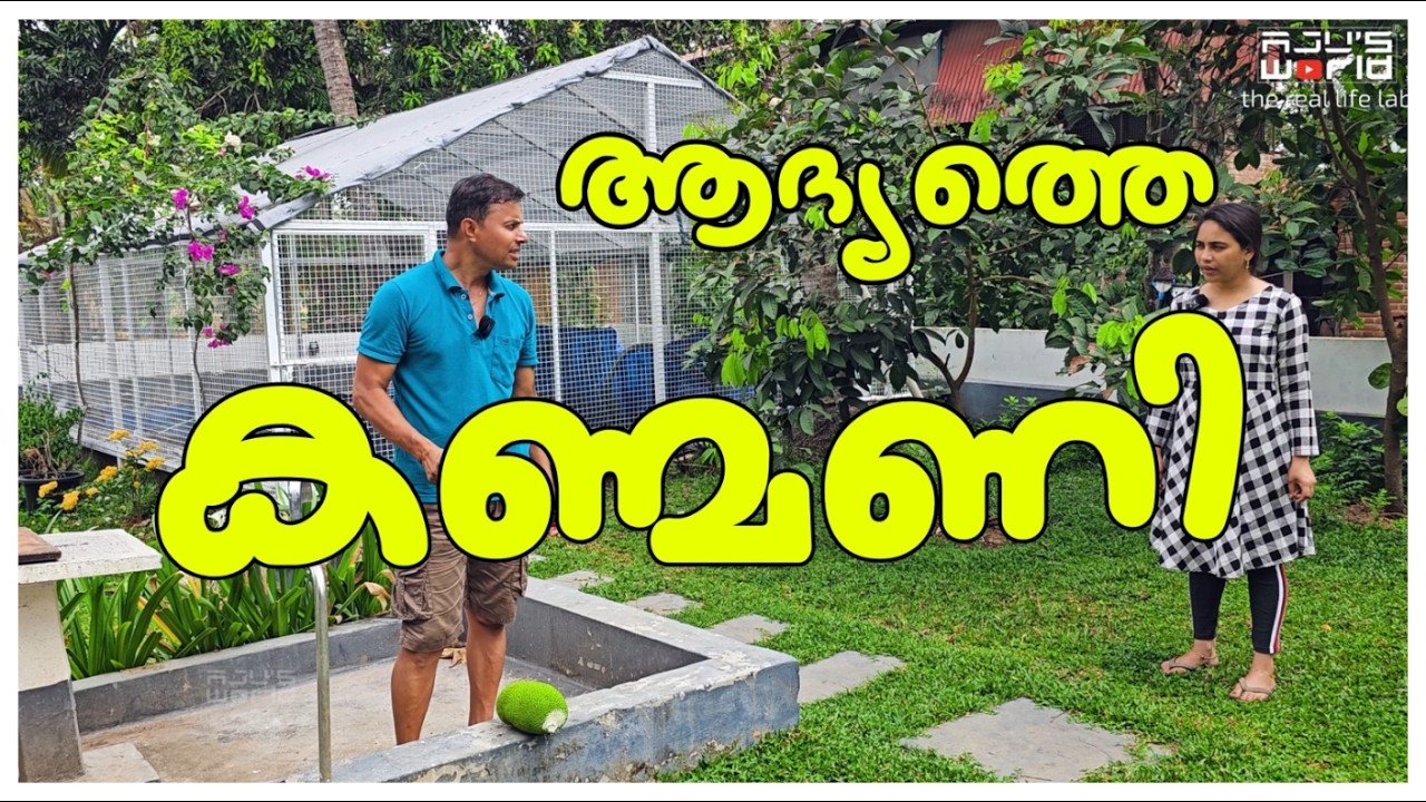 ആദ്യത്തെ കണ്മണി ❤️/Idiyan Chakka recipe/Manga chammanthi/Village Cooking /Chakka thoran