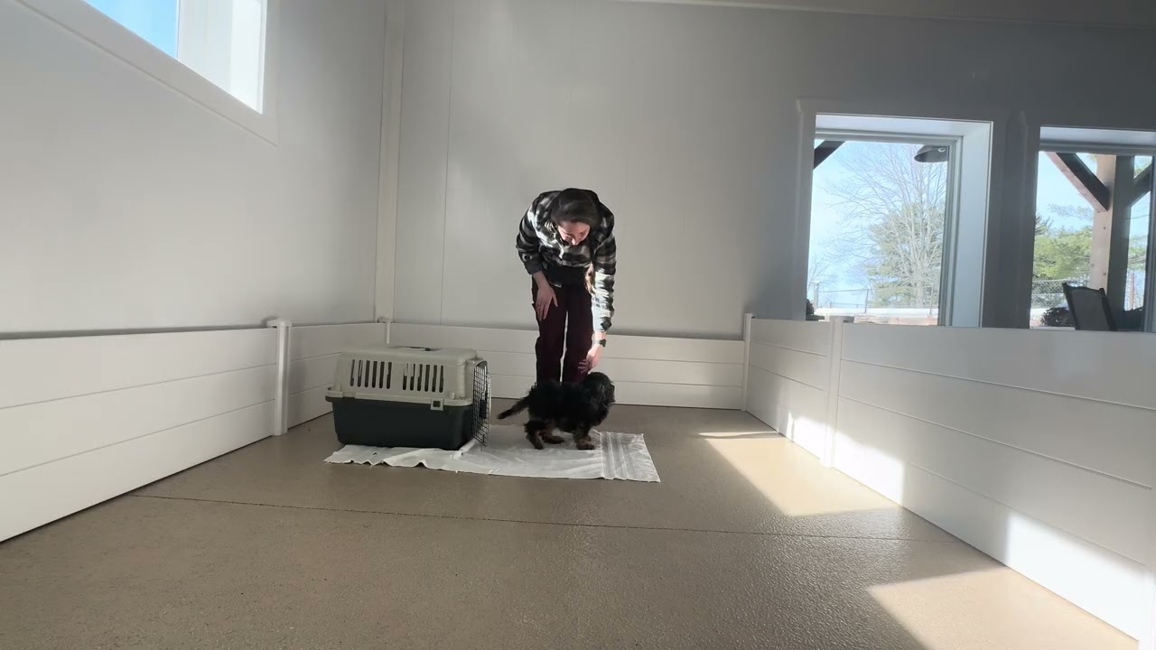 Smoke - Crate on Cue 02/09