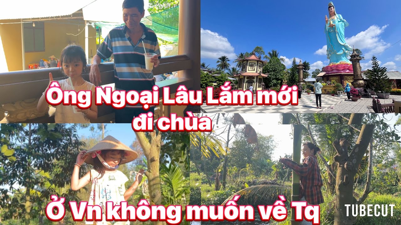 Cuộc sống ở Vn của cô Dâu TQ.Rủ Ông Ngoại Đi Chùa Rằm Tháng Giêng ,Ở Bên Gia Đình Lâu Thành Quen .