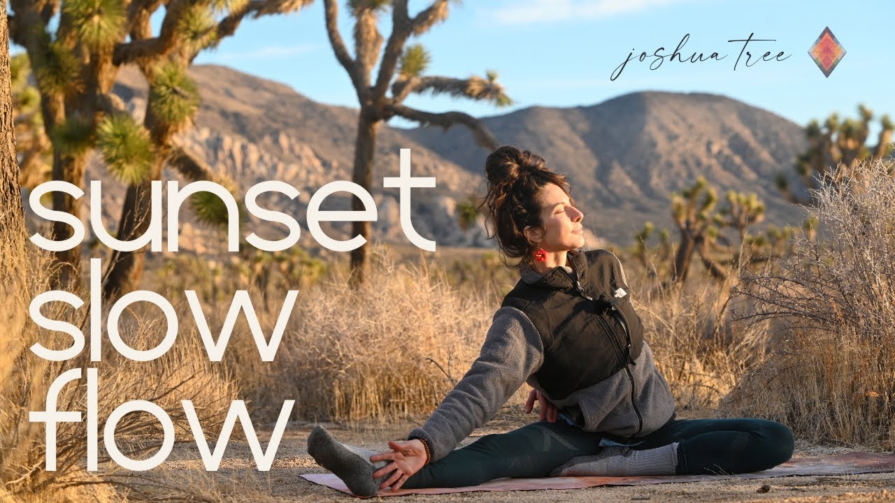 25 Minute Gentle Evening Vinyasa Slow Flow for Winding Down & Relaxing | Cole Chance Yoga