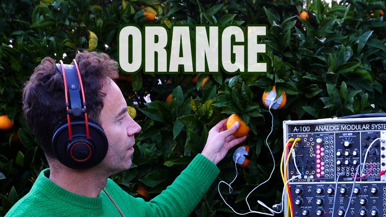 Orange | Sound Meditation with a Living Plant