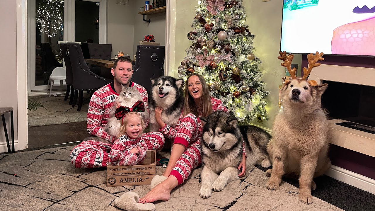 Spend Christmas With Us! (And All The Dogs And Cat!) From Us To You, Happy Holidays!!