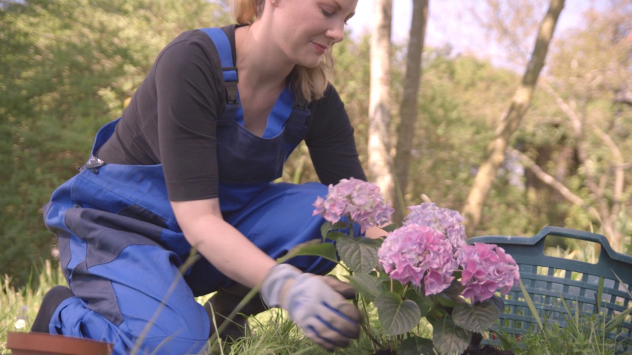 Tremel Entsorgungs- und Transport GmbH - Imagefilm 2016