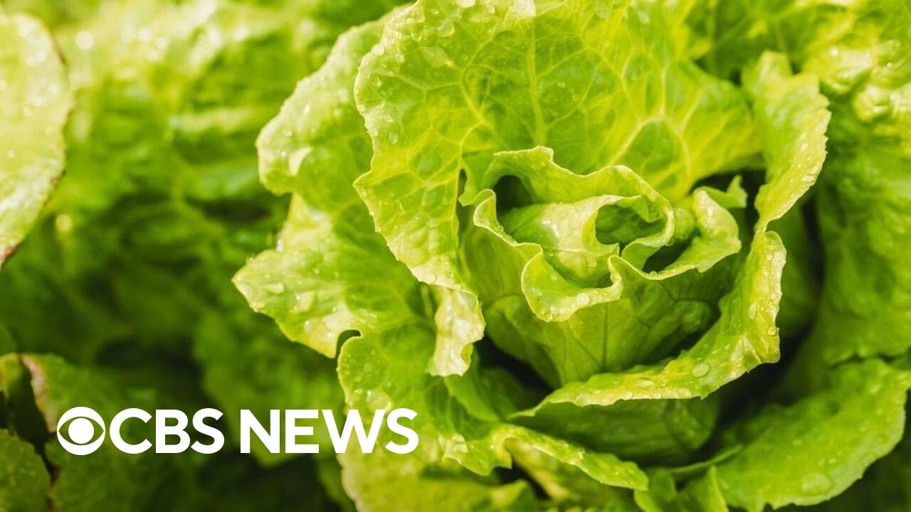 Health officials pinpoint source of the diarrhea-causing parasite cyclospora