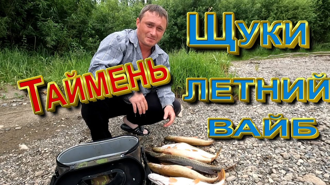 Таймени щуки, летний вайб
