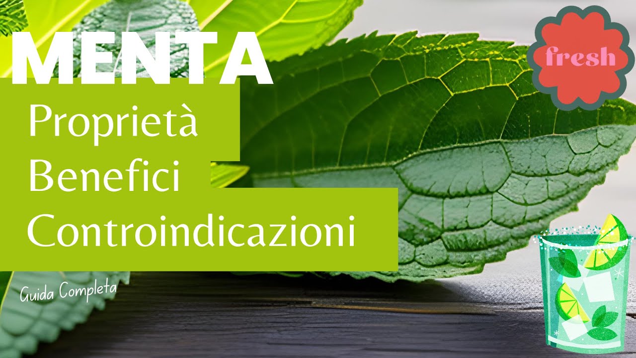 MENTA: Il fresco alleato per il BENESSERE e la SALUTE❗❗ Propriet&agrave;, Benefici e Controindicazioni! 🍃