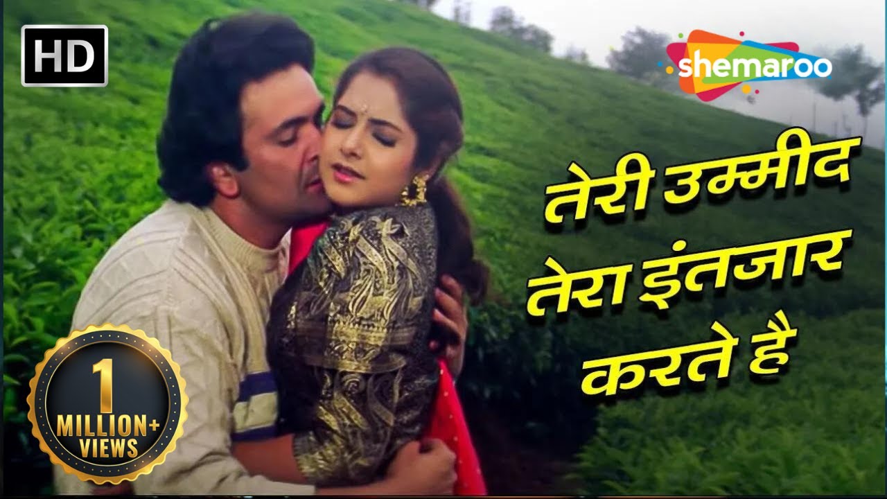 Teree Ummid Teraa Intzar Karte Hain | Kumar Sanu Alka Yagnik Hits  | Divya Bharti songs | Deewana