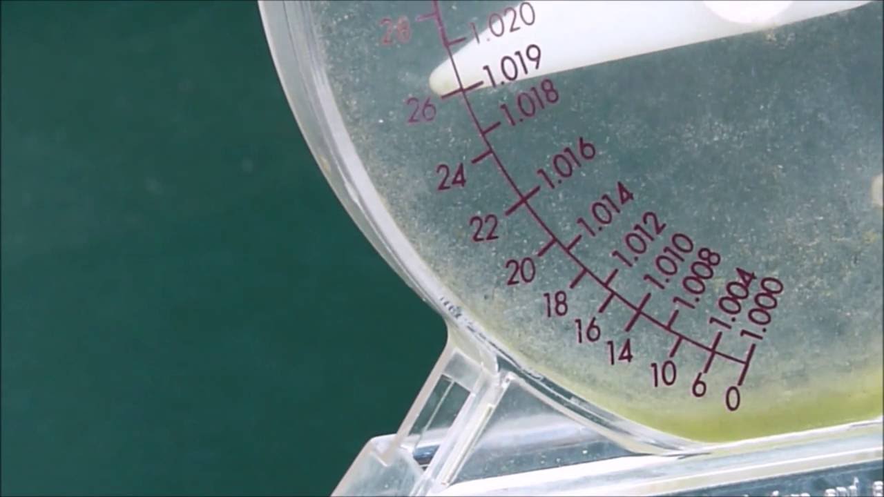 Salinity In the Marine Aquarium