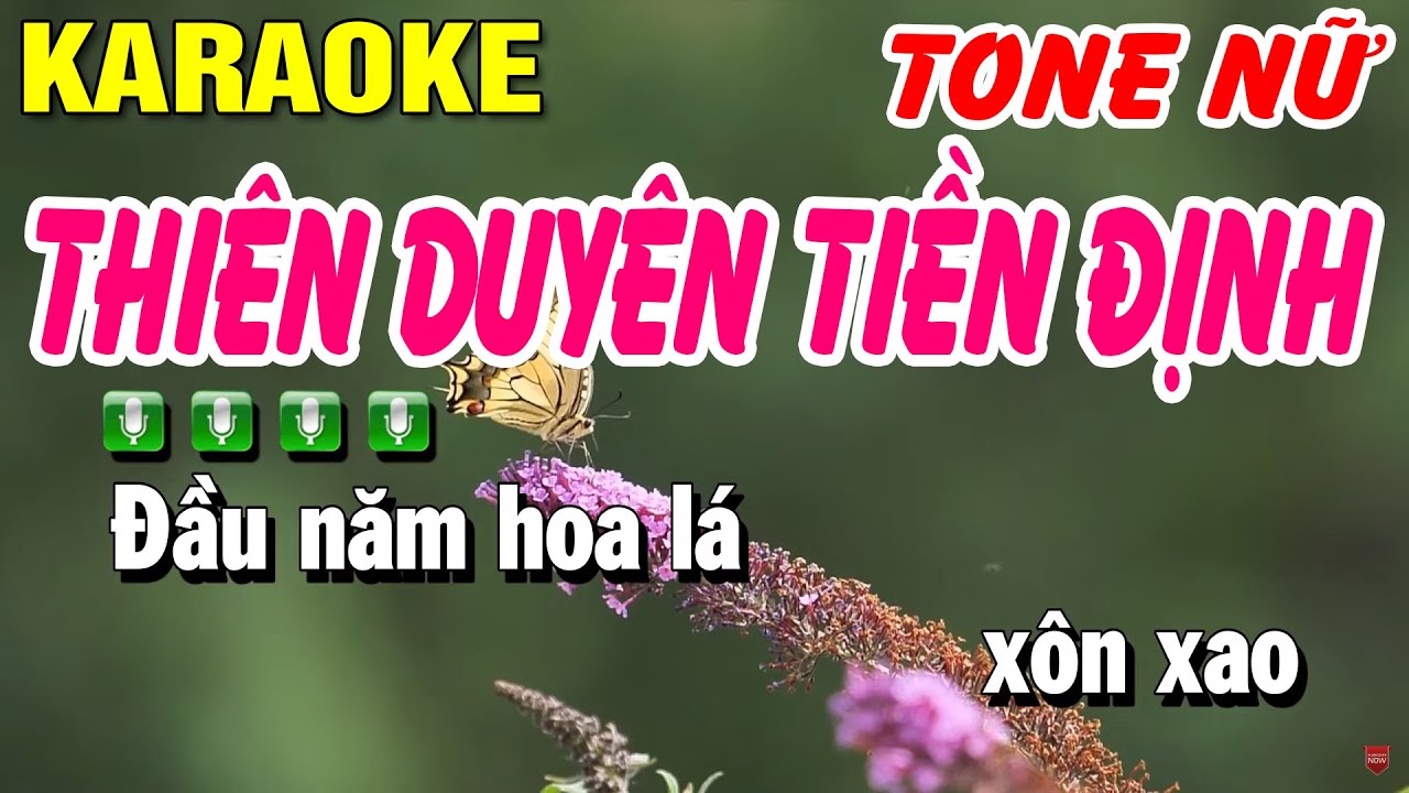 Karaoke Thiên Duyên Tiền Định Nhạc Sống Tone Nữ Bm | Huỳnh Lê