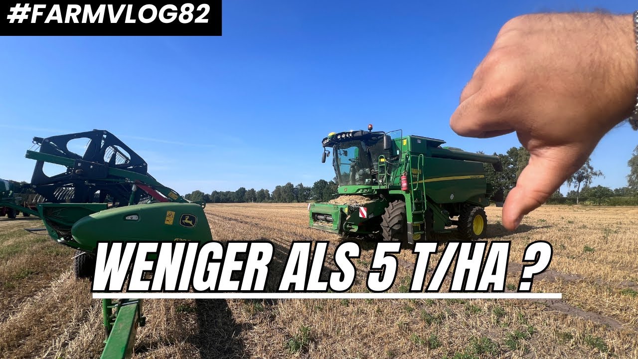 Katastrophale Weizenernte! Woran hat es gelegen? FARMVLOG #82