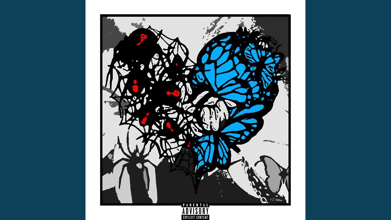 Arachnid