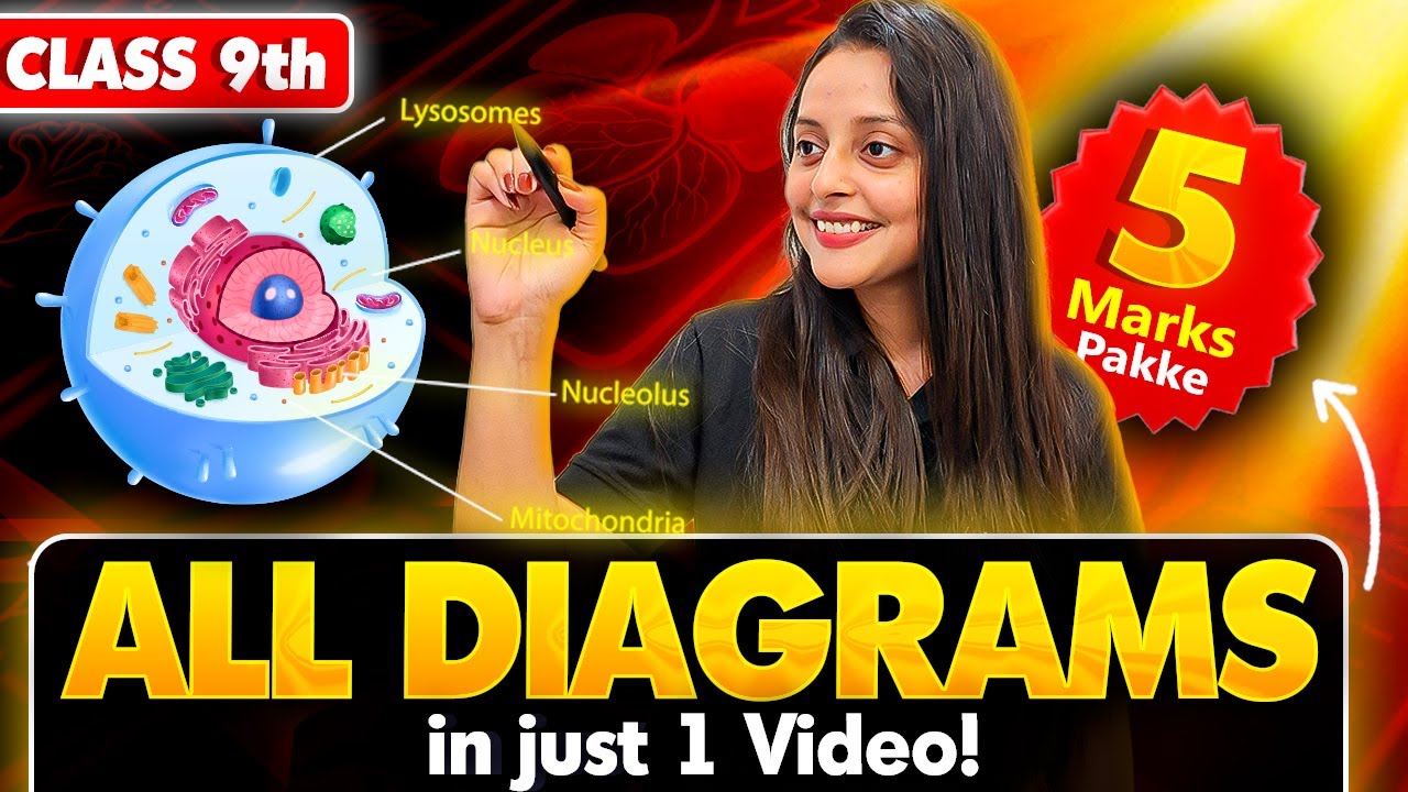 Class 9th Science - All Diagrams in 1 Video 🔥 | Most Important Diagrams | Sonam Maam