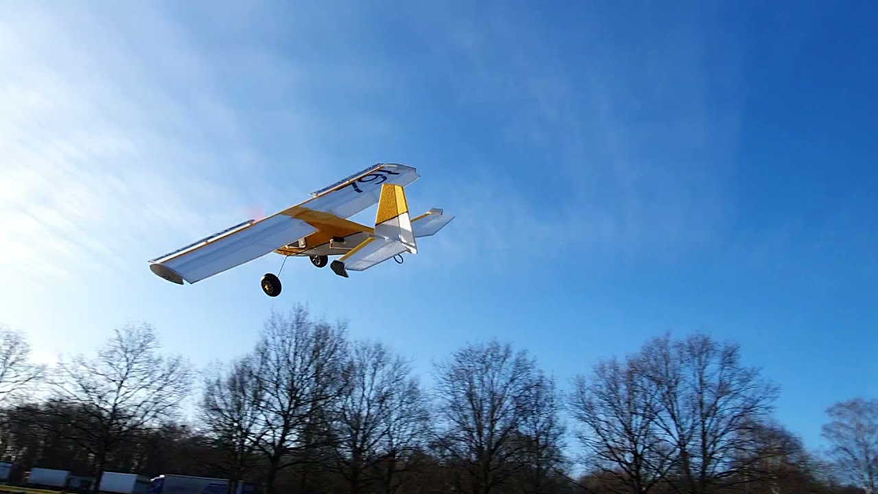Buschtrottel Mini