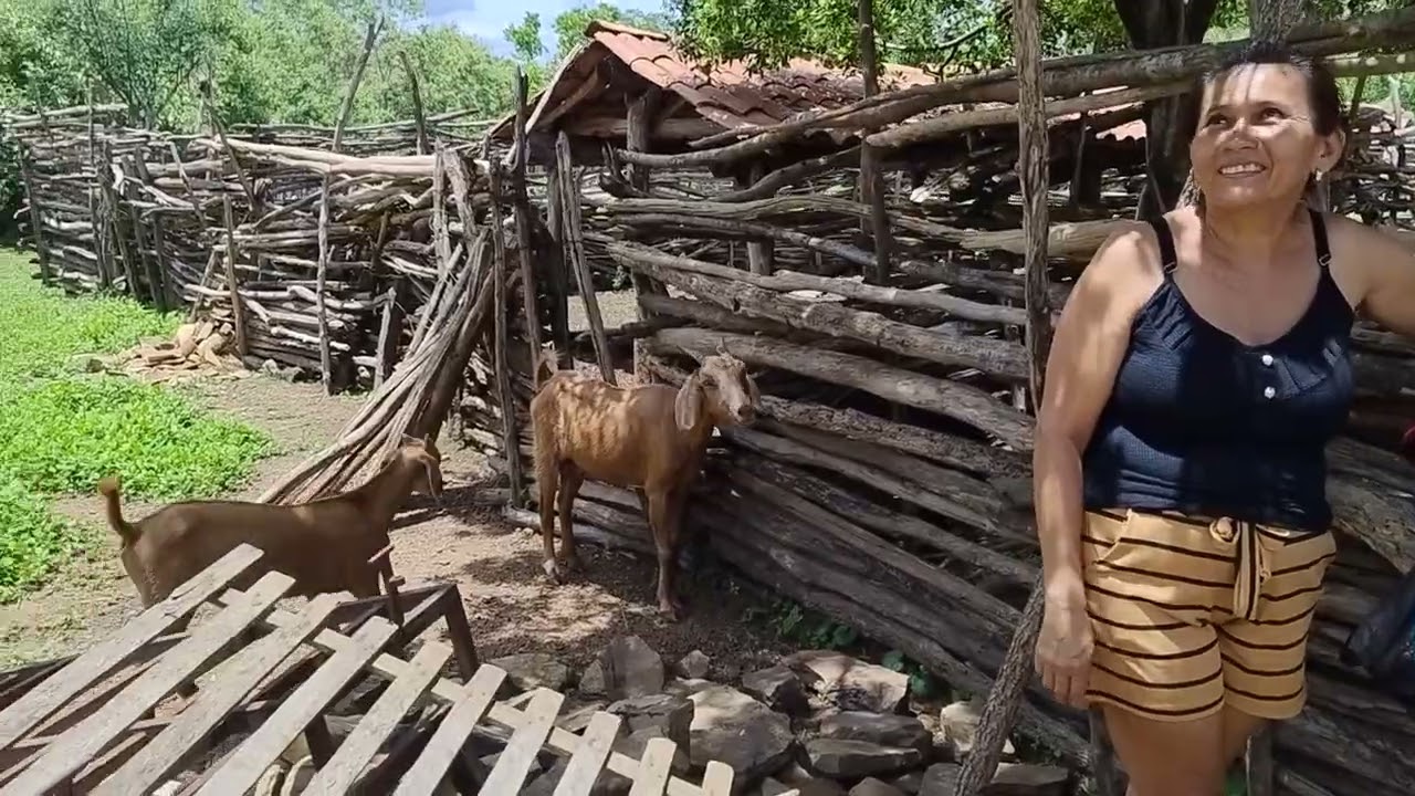 Veja a vida rural do nosso nordeste!