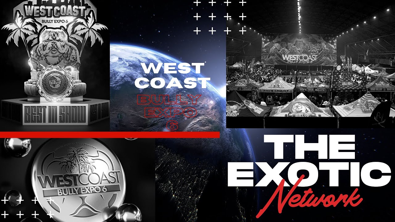 WEST COAST BULLY EXPO 6: ФИЛЬМ