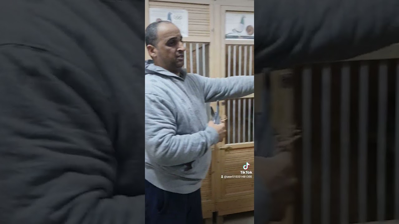 ١٤ فبراير ٢٠٢٣