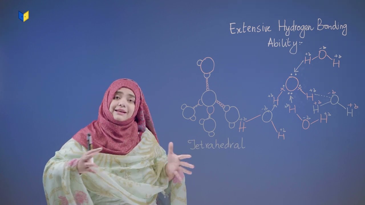 Extensive Hydrogen Bonding Ability | Class 10 | Chemistry | Water | Concept & Explanation