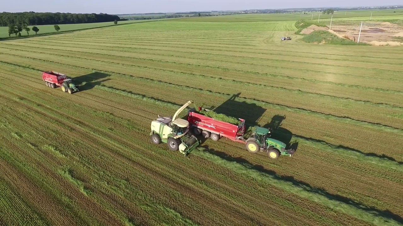 Biggest silage forage in Kietrz, Poland. (Krone BIG X 850, Claas Jaguar 970, John Deere, JCB)