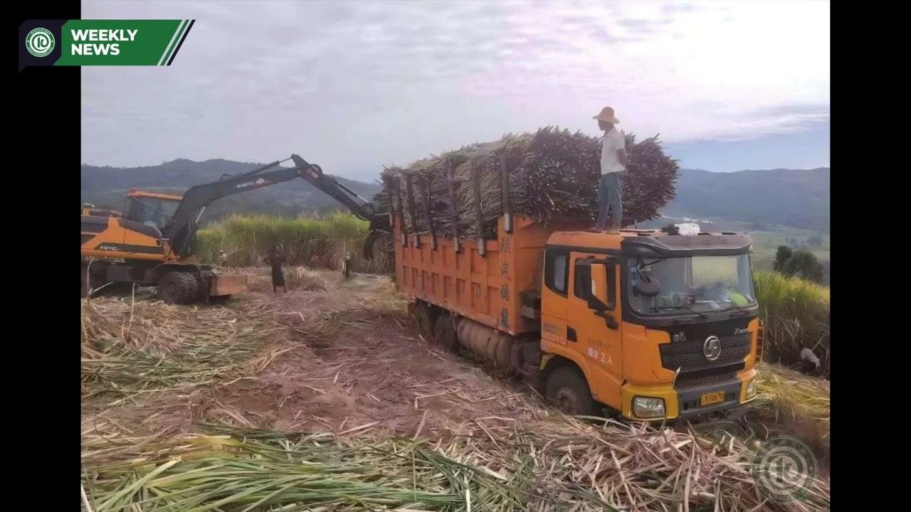 The Kokang (Weekly News) (6.12.2025)