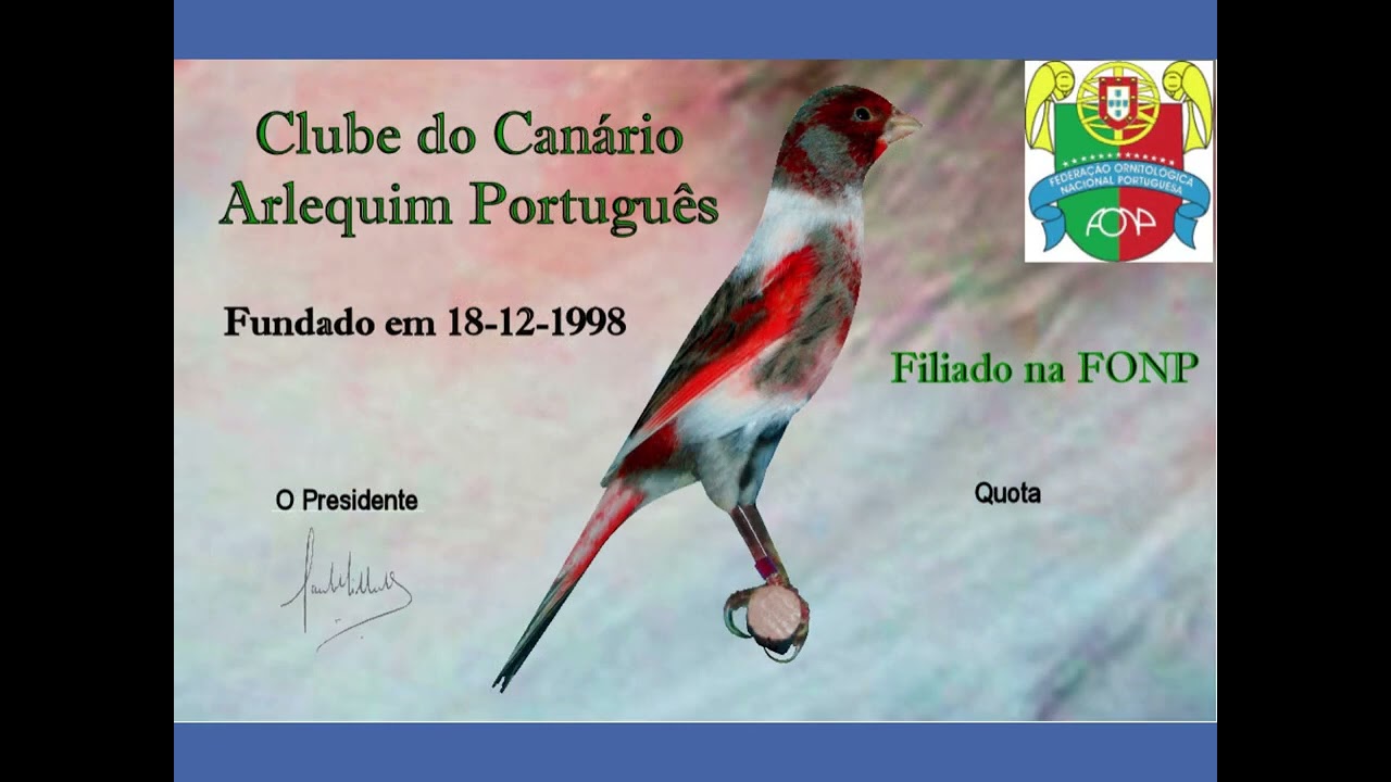 Historia del Arlequín Portugués